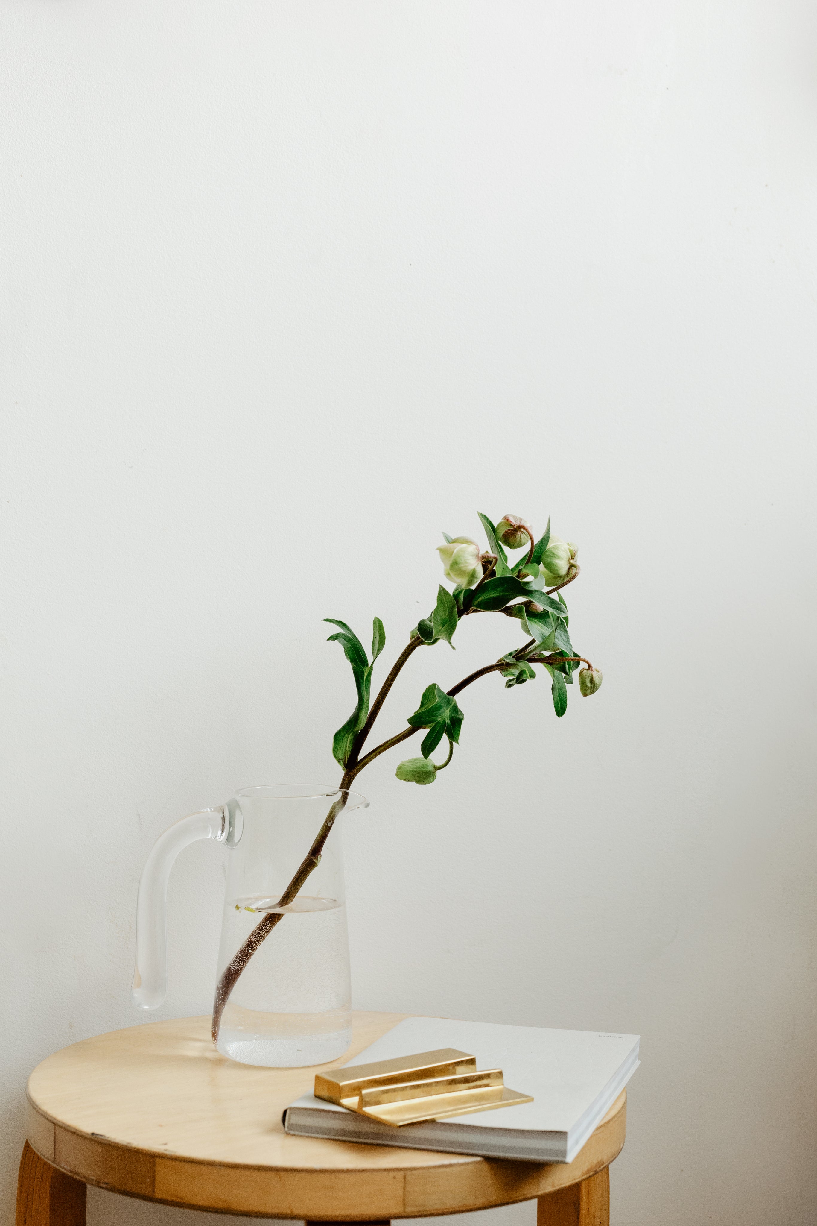 flower in a jug of water